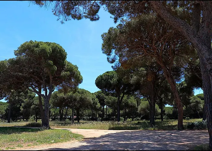 Zara Iii Semesterbostad Conil De La Frontera