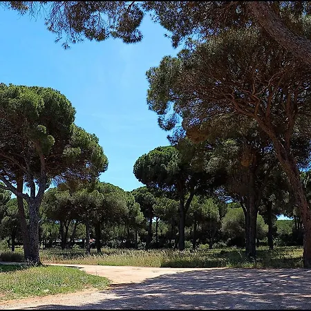 Zara Iii Hébergement de vacances Conil De La Frontera